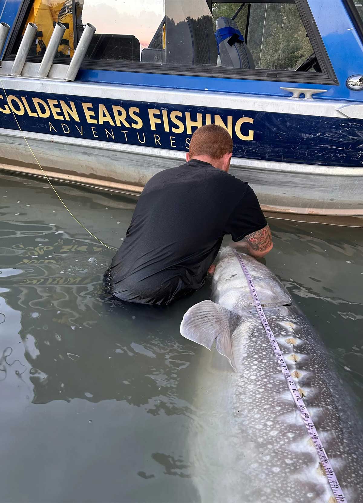 Man catching large sturgeon fish with Golden Ears Fishing Adventures - Our Story